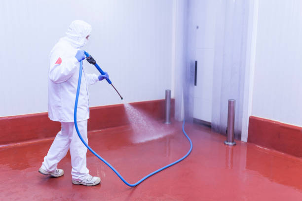 Best Paint Preparation  in Laurel, FL