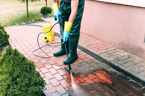 Best Building Exterior Washing  in Laurel, FL